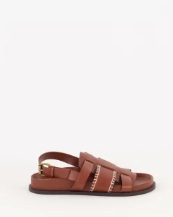 Best Sidi Chaussures